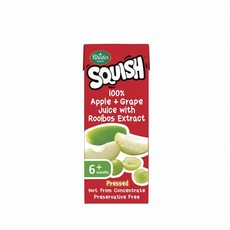 Squish 100% Pressed Apple, Grape & Rooibos Juice Blend - 24 x 200ml