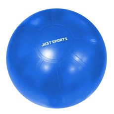 Just Sports 75cm Burst Resistant Ball - Blue