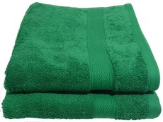 Plush 450 Hand Towel (2 Piece Pack) 50 x 90cms 450GSM