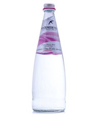 San Benedetto Sparkling Water Glass - 24 x 250ml