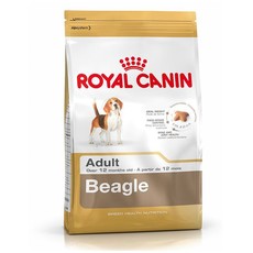 Beagle (Adult) 12kg