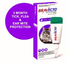 Bravecto Spot-On Cat Large - 1'S