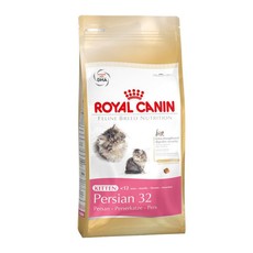 Royal Persian Kitten 32 (2kg)