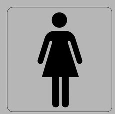 Tower Aluminium Sign - Ladies Toilet