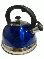 Stainless Steel Induction Kettle - Blue