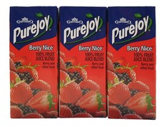 Purejoy 100% Juice Berry Nice 4X6X200 ML
