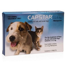 Capstar for Cats and Small Dogs between 0.5 and 11kg 6 Pack