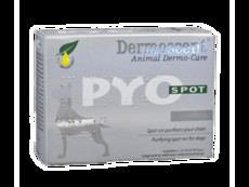PYO Clean OTO for Dogs 10 x 5ml