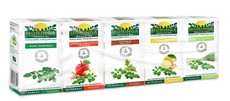Moringa Tea - Variety Pack