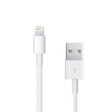 TechCollective iPhone SyncCharging Cable 2m - White