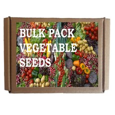 Cabbage, Carrot, Leek, Radish, Tomato, Onion Seeds