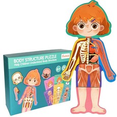Body Structure Muscles Organs Skeletal Educational Kids Wooden Puzzle Cards