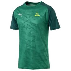 Puma Men's Mamelodi Sundowns Short Sleeve T-Shirt Pepper - Green