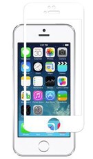 Moshi iVisor Glass iPhone 5-5S-5C - White