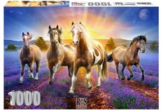 RGS Group Horses In The Lavender Field 1000 piece jigsaw puzzle