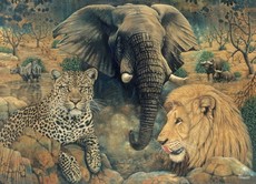 RGS Group Spirit Of Africa 1500 Piece Jigsaw Puzzle