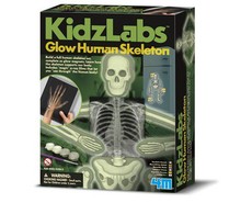 4M Kidz Labs Human Skeleton