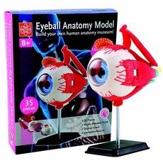 Edu-Science Science & Technology Anatomy Model - Eyeball