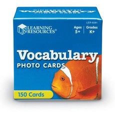 Learning Resources Beginning Vocabulary Photo Cards