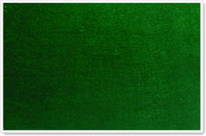 Parrot Notice Board - Info Board Plastic Frame (600 x 450mm) - Green