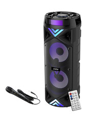 ZQS Karaoke Dual Speaker Wireless Bluetooth Speaker with Mic and Remote