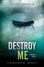 Destroy Me (eBook)