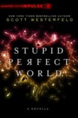Stupid Perfect World (eBook)