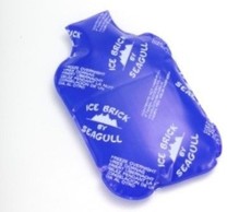 Seagull Soft Large Ice Brick - Blue