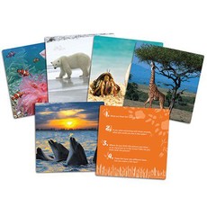 Learning Resources Wild About Animals Snapshots - Critical Thinking Photo Cards