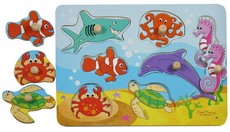 RGS Group Under Water Peg Puzzle