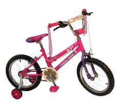 Peerless Girls 16" Flower Power BMX Bike - Pink