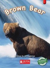 Brown Bear: Gr 1 Higher level - Red