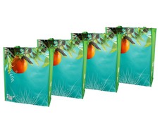 Fino Glossy Eco-Friendly Reusable Shopping Bag - Set of 4 - Orange Tree