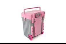 Cadii School Bag with Pink Lid & Grey Body