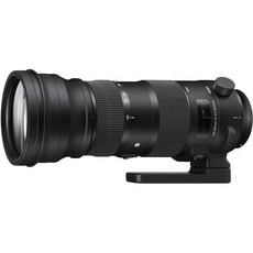 Sigma 150-600mm f5-6.3 DG OS HSM Sport Lens