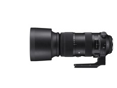 Sigma 60-600mm f/4.5-6.3 DG OS HSM Sports Lens for Canon