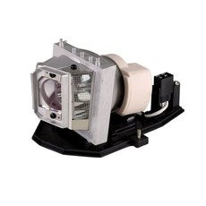 Optoma X2010 Projector Lamp - Philips Lamp In Housing From APOG