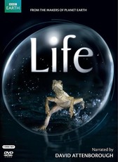 BBC - Life (DVD)
