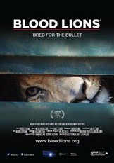 Blood Lions (DVD)