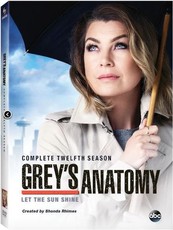 Grey's Anatomy Complete Season 12 (DVD)