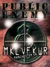 Public Enemy: The Revolverlution Tour 2003(DVD)