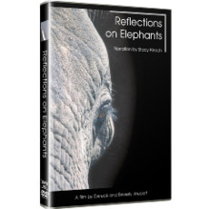 Reflections On Elephants - (DVD)