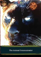 The Animal Communicator (DVD)