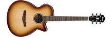 Ibanez AEG10II-NNB AEG Series Acoustic Electric Guitar (Natural Browned Burst High Gloss)