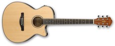 Ibanez AEG8E-NT AEG Series Acoustic Electric Guitar (Natural)