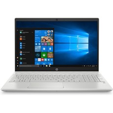HP Pavilion Laptop i7-1065G7 15.6" in Mineral Silver