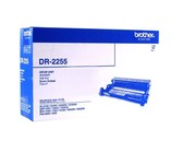 Genuine Brother DR-2305 Drum Unit