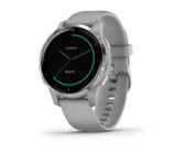 Garmin vivoactive 4S Powder Grey/Silver
