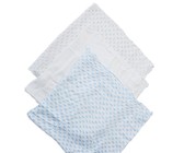 Parental Instinct Boys Bamboo Muslin Cloth Set of 3