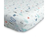 Parental Instinct Boys Bamboo Muslin Cloth Set of 3